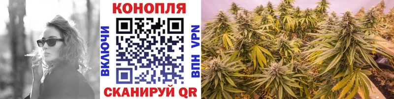 Конопля White Widow  Урай 